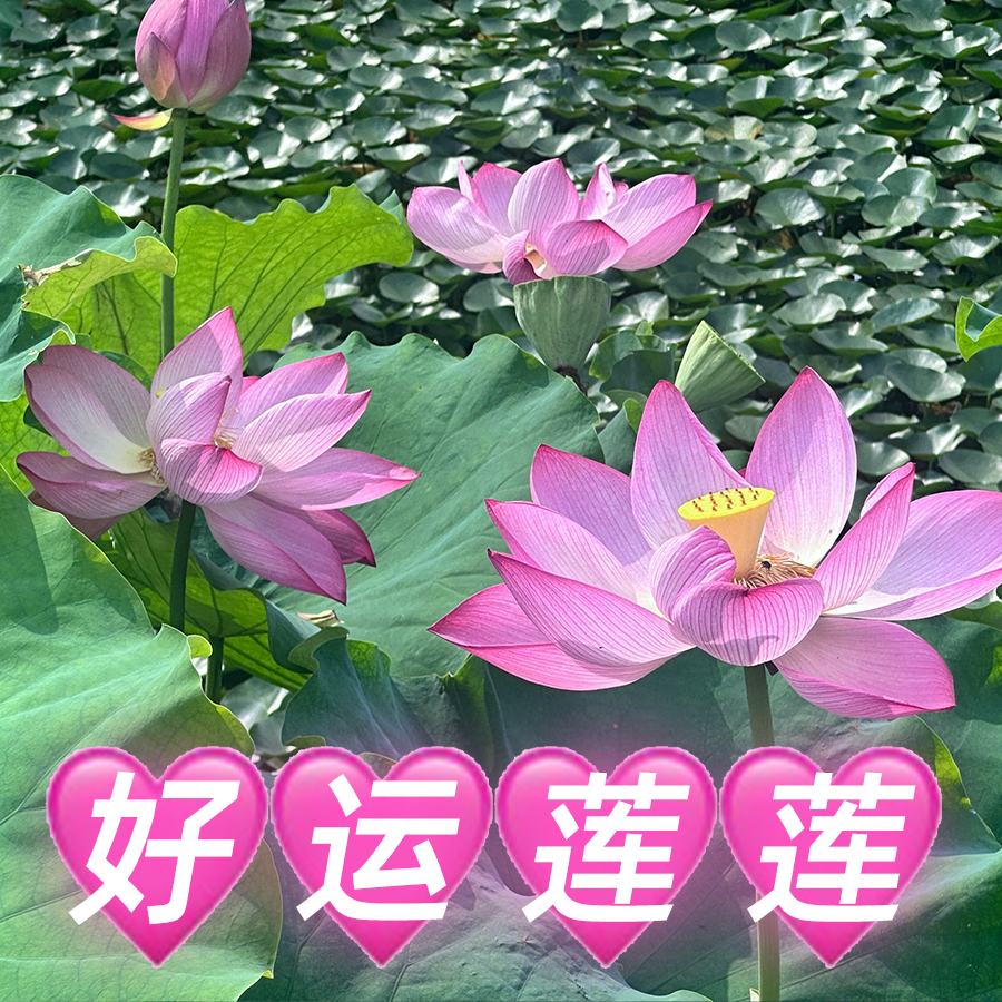771af56297988adec317129d42dac622.png