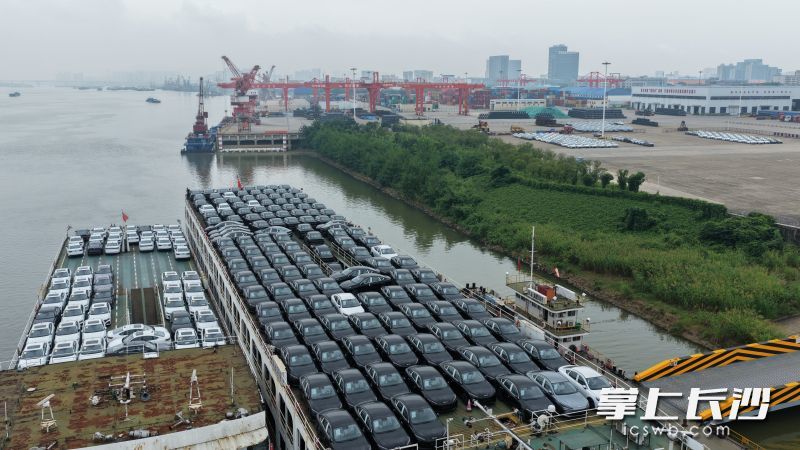 “长沙造”汽车登船沿湘江入长江、通大海，远销全球多个国家和地区。
