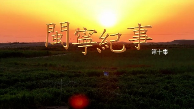 闽宁纪事：山海芳华