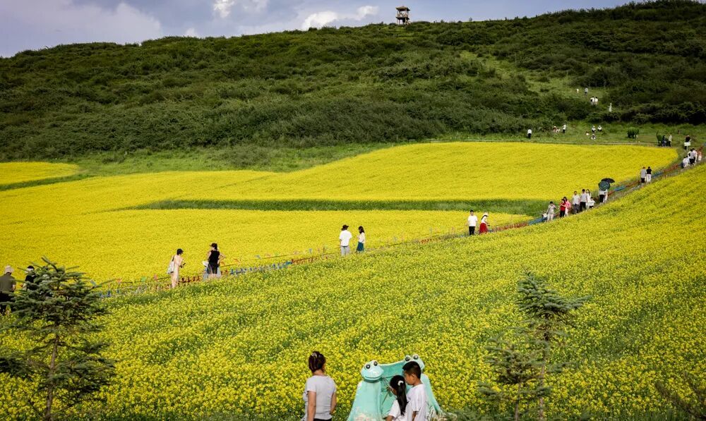 前来油菜花海拍照打卡的游客