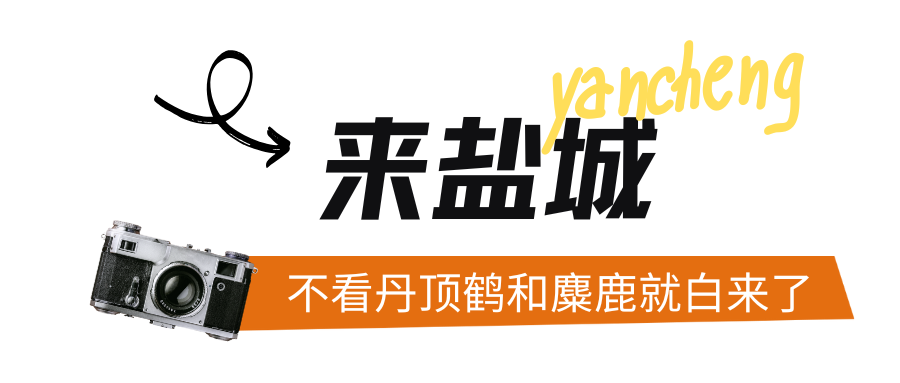 youjianyanwu.png
