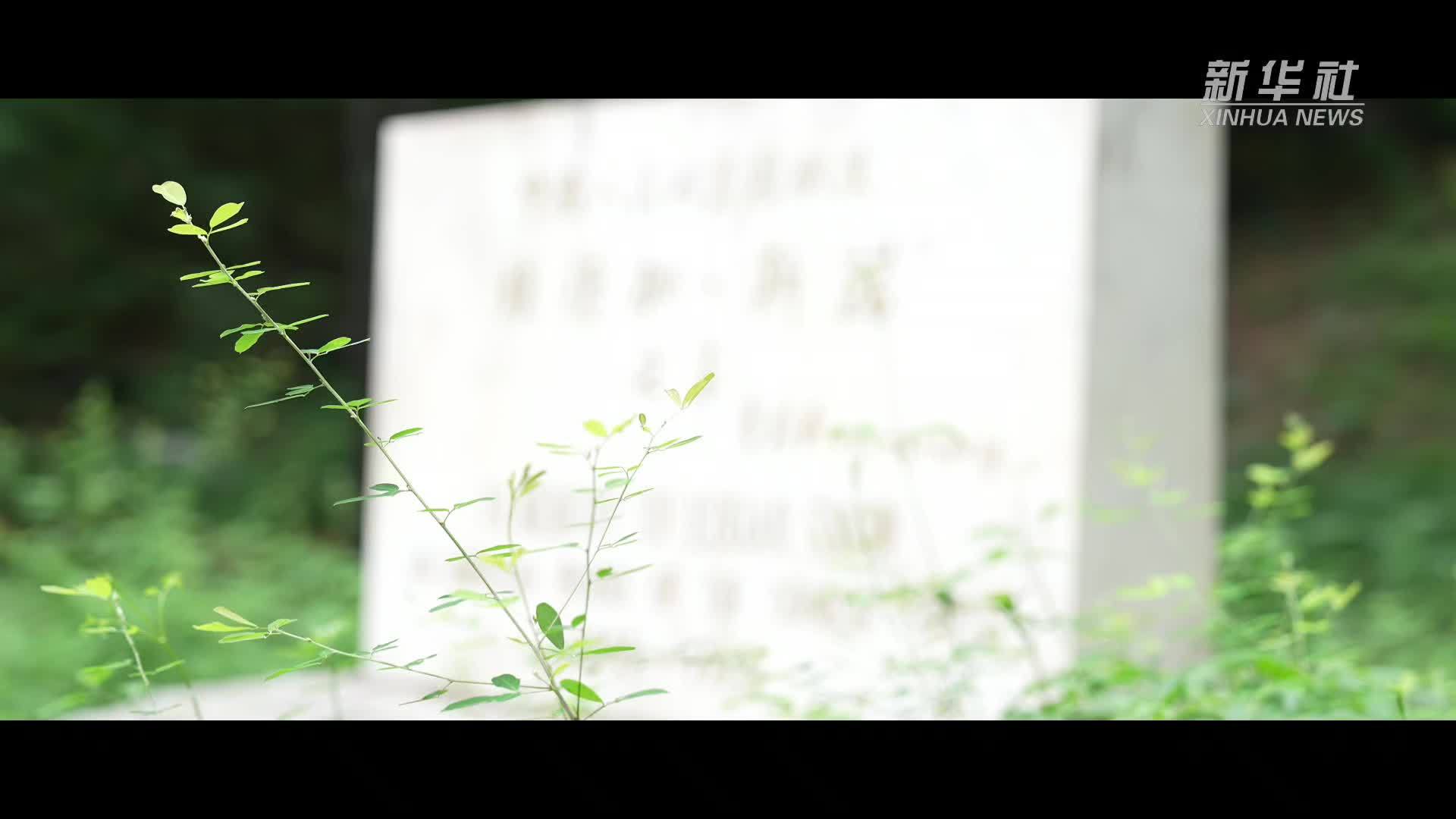 红星依然闪耀：埃德加·斯诺精神遗产的时代回响