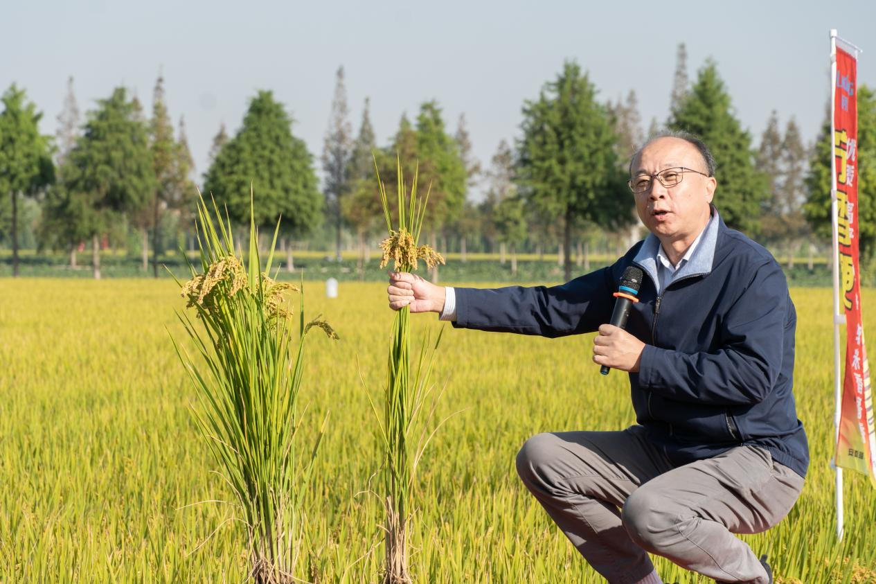 国家科技进步奖丁艳锋教授团队:二十年稻田坚守,为一碗中国好饭