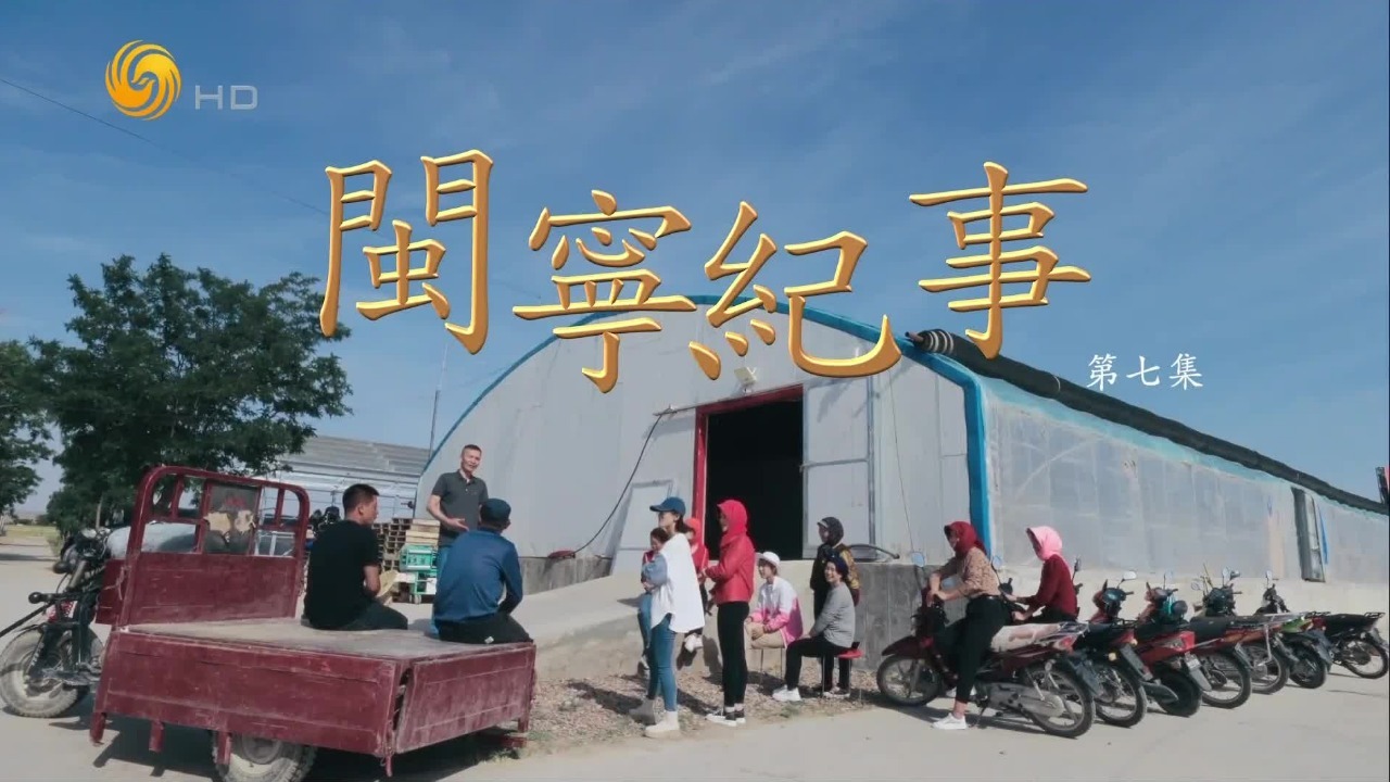 闽宁纪事：山海新农村