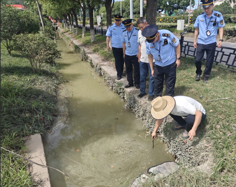 镇海区综合行政执法局：全力迎战台风“巴威”