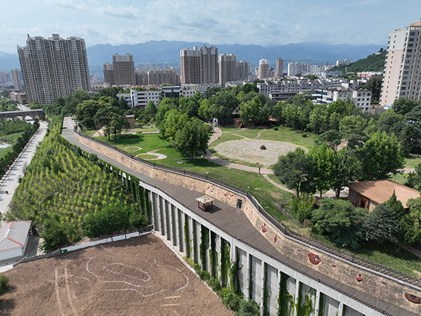 宝鸡金台区群众路街道:走实群众路 办好暖心事 烟火街巷焕新颜