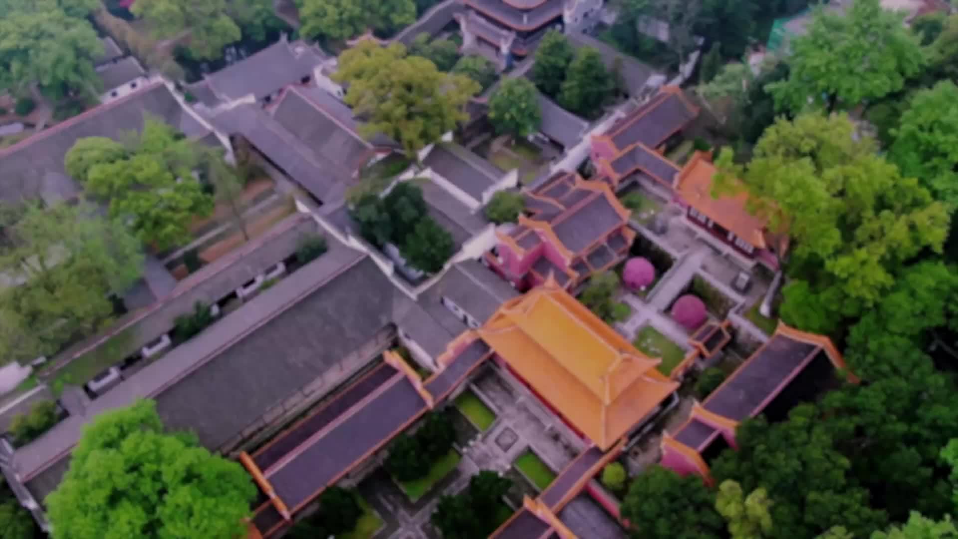 “金牌导游说文博”书香湖南书院文化游活动走进岳麓书院