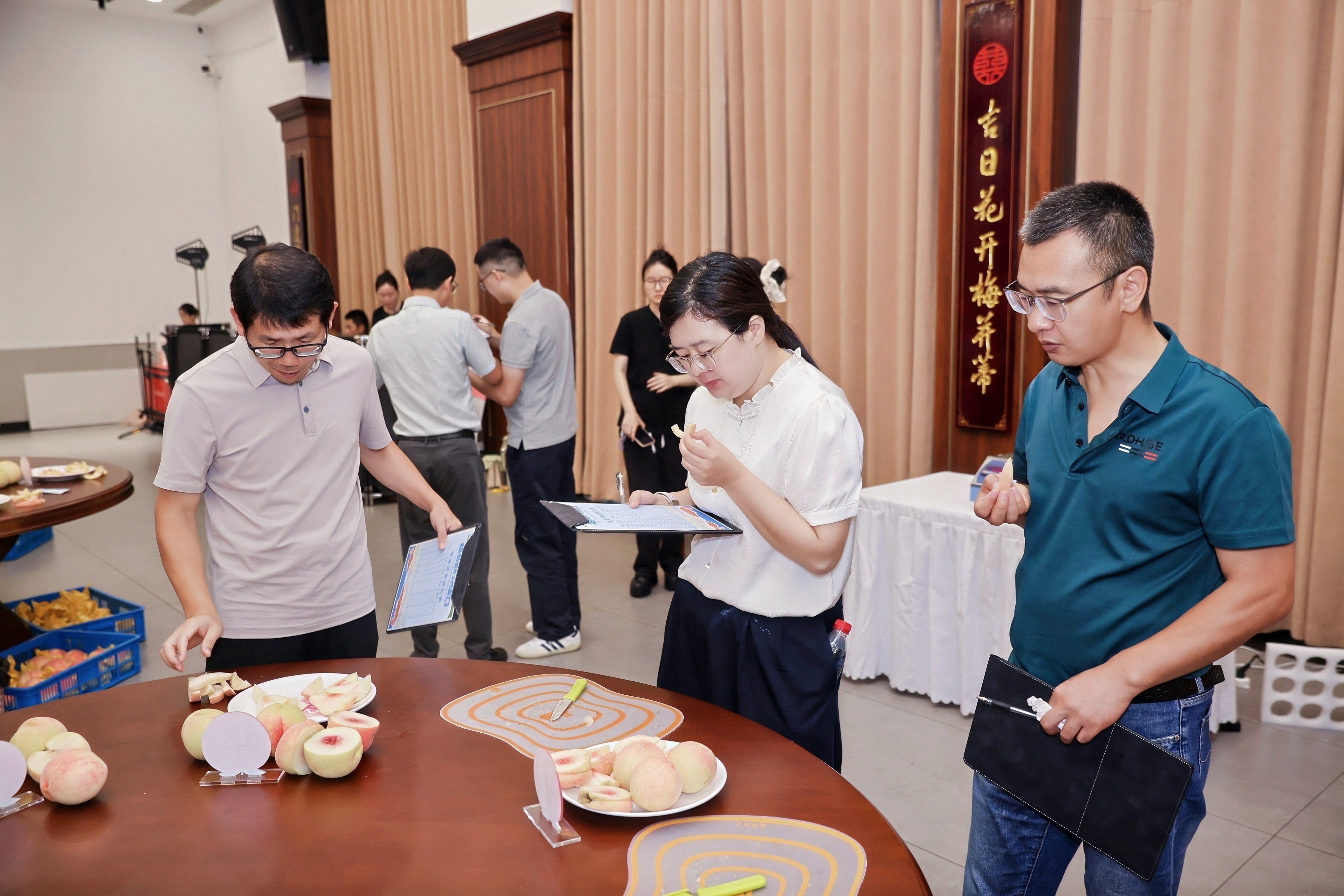 桃韵传百年 公益助共富  第十二届溪口桃王争霸赛暨乡村旅游季在宁波奉化启幕！
