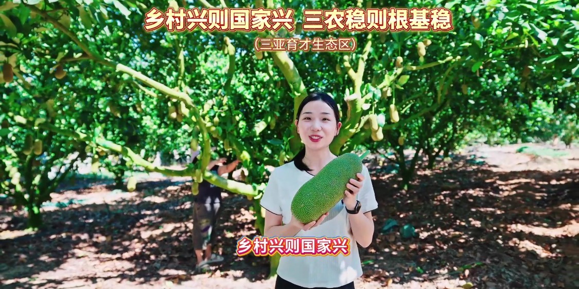 乡村兴则国家兴·三农稳则根基稳（三亚育才生态区）