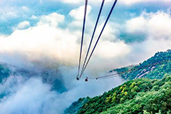 背诵李白名篇可免门票游庐山 活动持续至2027年2月28日