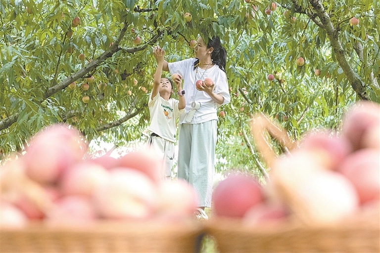 都昌县：果香四溢醉游人（图）