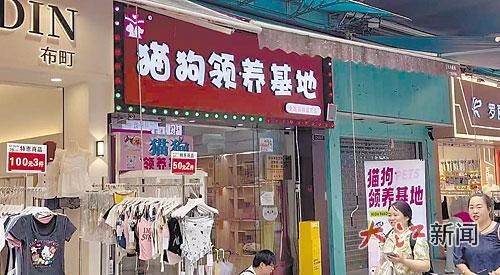 位于南昌市红谷滩区万达广场金街的“猫狗领养基地”店铺
