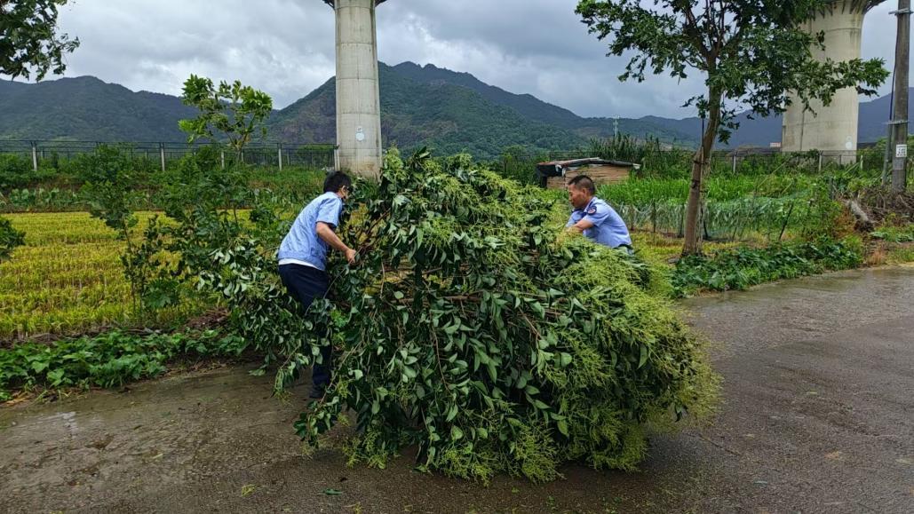 风雨坚守护民生 鄞州综合执法持续筑牢抗台防汛安全防线