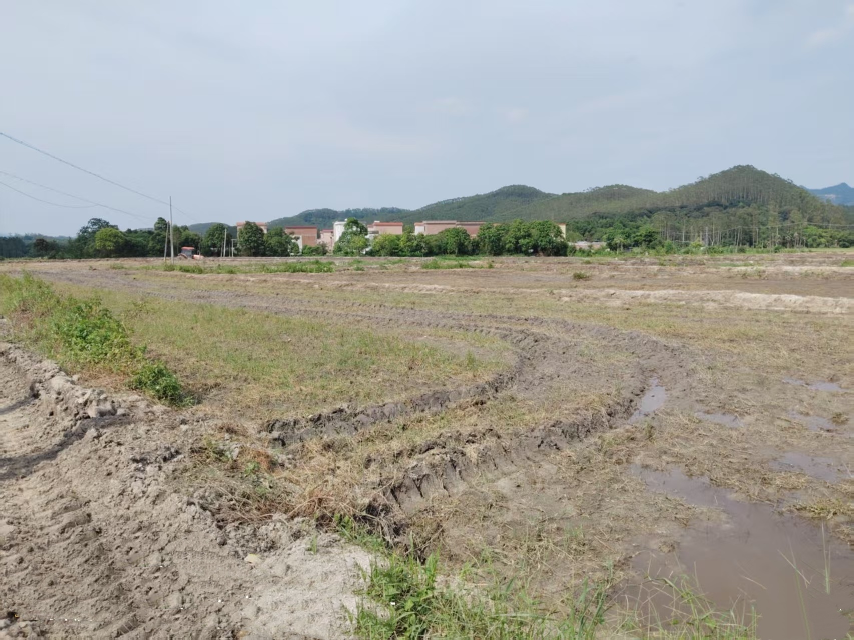 开平市大沙镇：聚贤才激活“沉睡地” 兴产业铺就富民路