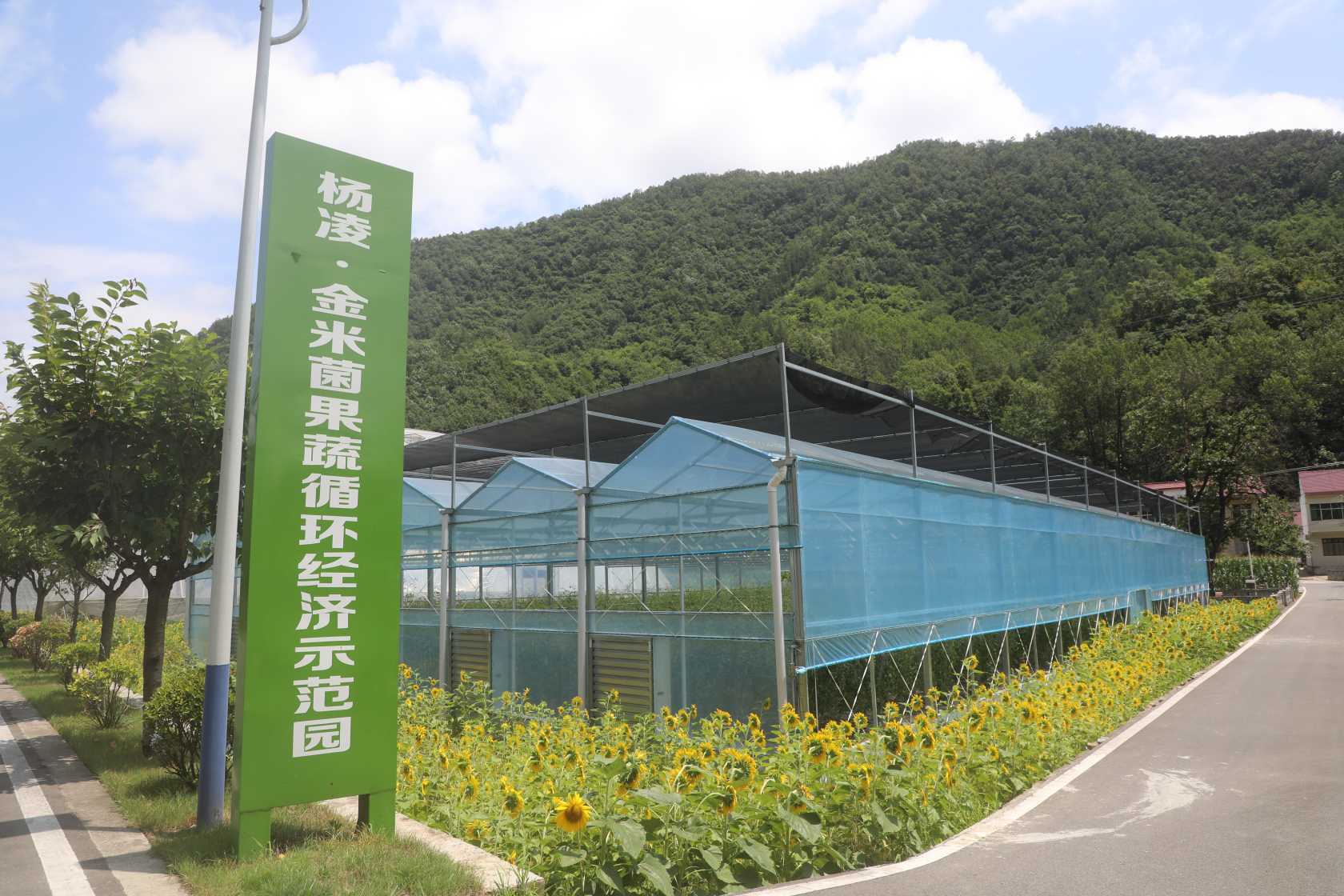 走出杨凌看示范|杨凌科技润秦岭 循环种养铺就金米共富路