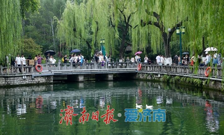 一年四季 泉在济南｜雨润泉城 趵突泉喷涌欢畅“水涌若轮”
