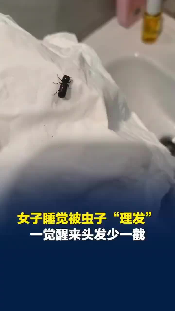 桂林女子睡觉时被虫咬断一大把头发