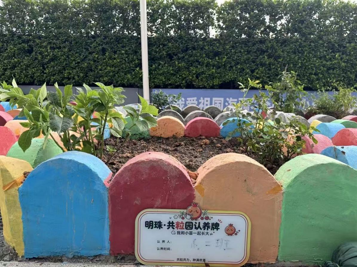 南山区沙河街道明珠街社区“明珠&middot;共粒园”家校社劳动教育实践基地正式启用