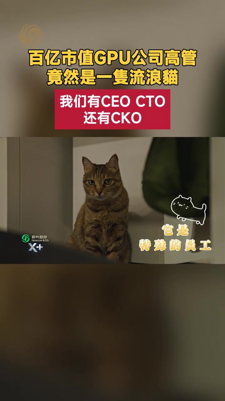 探访沐曦股份彭莉：造GPU的女科学家，和她的首席快乐官