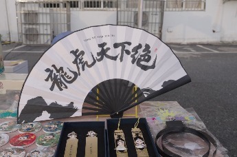 龙虎IP“踢”进赣超，赛场秒变打卡地！