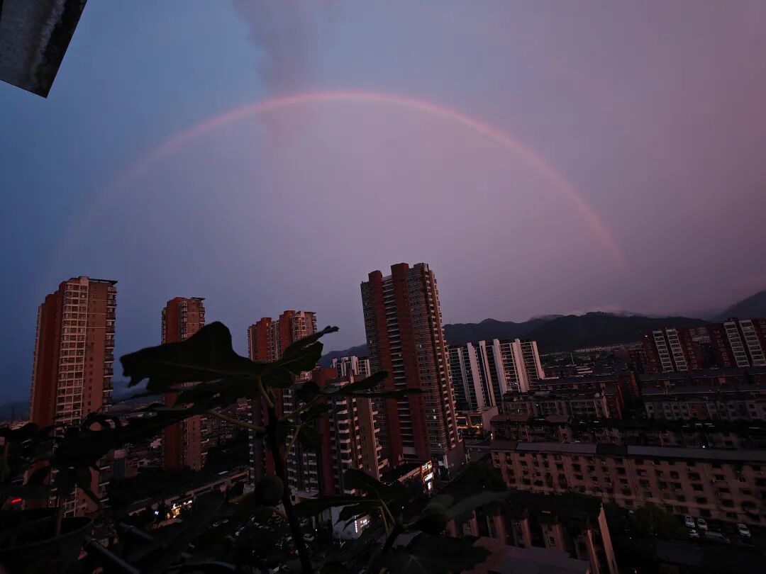网友“忆千年(歌歌)”摄