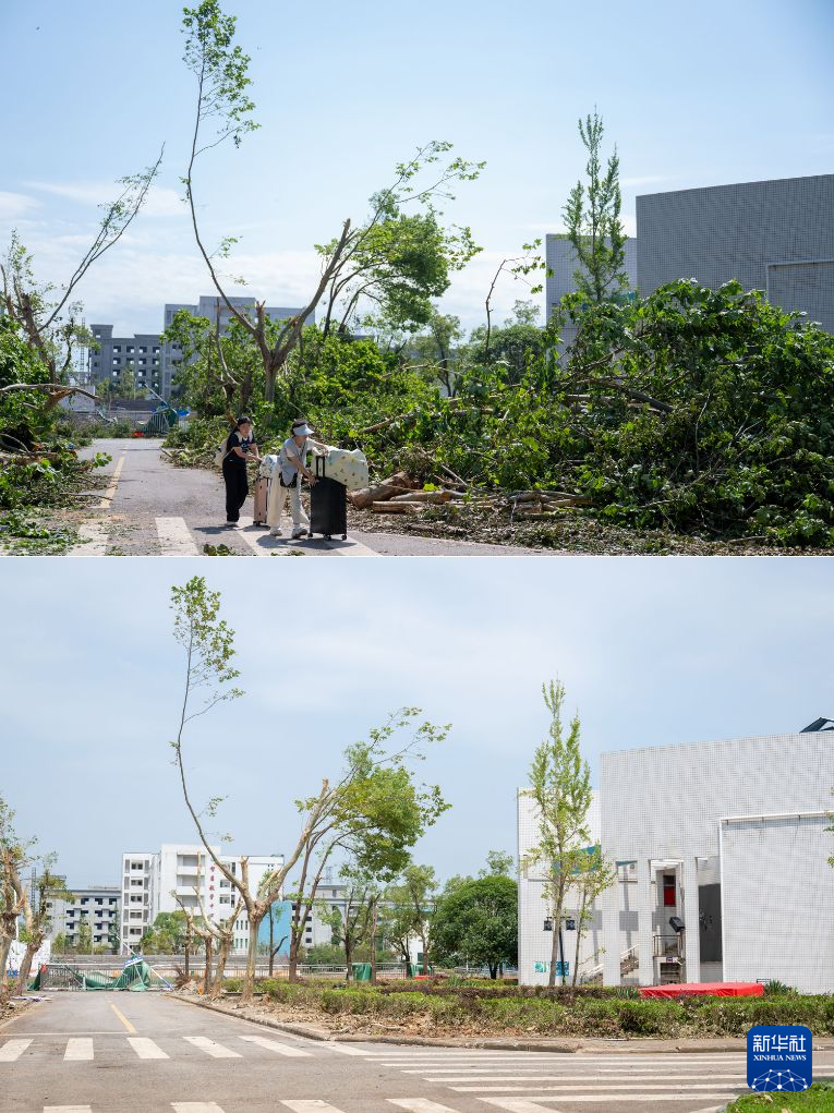 湖北黄冈：龙卷风灾后清理修复持续推进(图2)