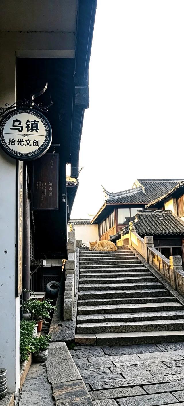 南浔免票3年游客破3000万，乌镇咬牙坚守150门票：古镇到底该不该收大门票？