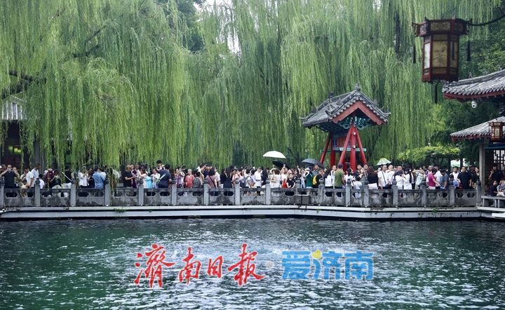 一年四季 泉在济南｜雨润泉城 趵突泉喷涌欢畅“水涌若轮”