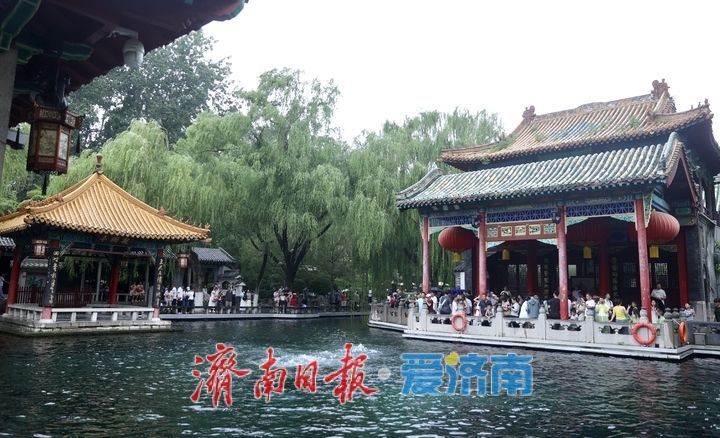 一年四季 泉在济南｜雨润泉城 趵突泉喷涌欢畅“水涌若轮”