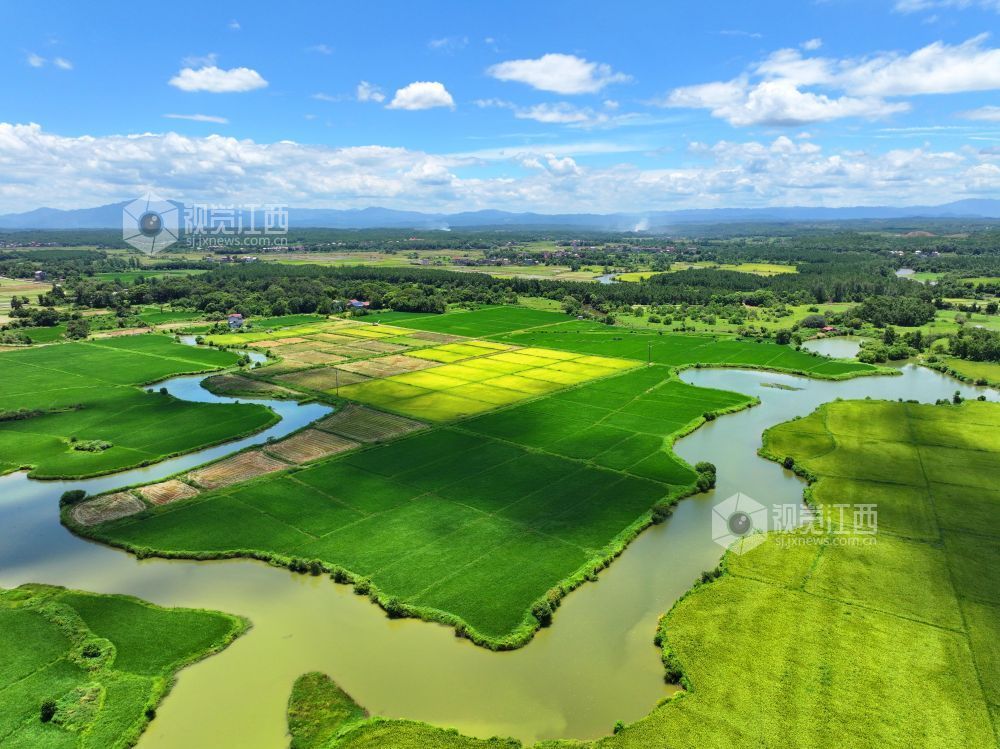 2026年7月14日,江西省吉安市泰和县万合镇竹山村田园,渠水充盈保障夏灌。江西泰和县积极做好农业水利灌溉工作,筑水库、修水渠,提升灌溉能力,保障农田灌溉用水,助力农业丰产农民增收。