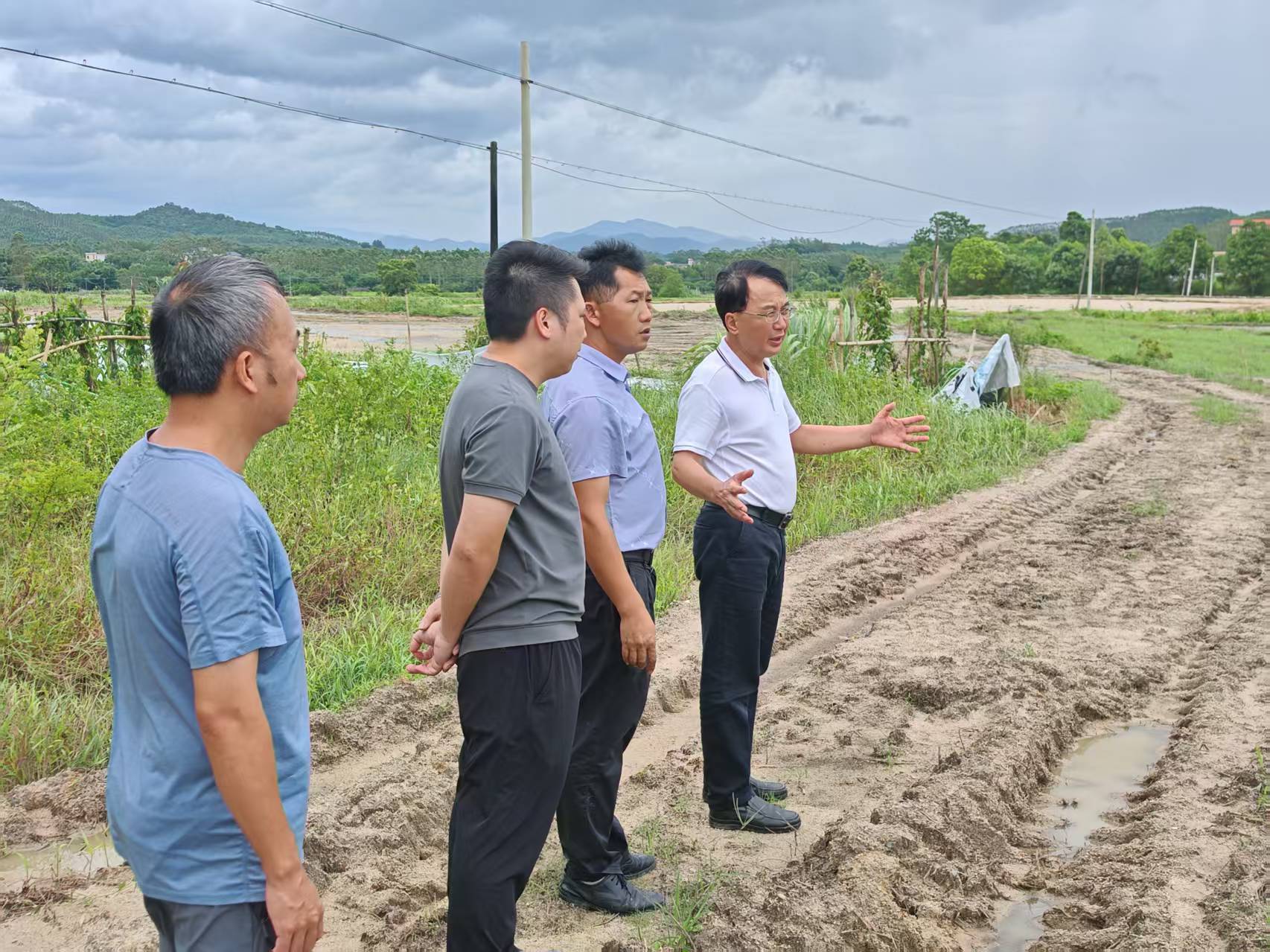 开平市大沙镇：聚贤才激活“沉睡地” 兴产业铺就富民路