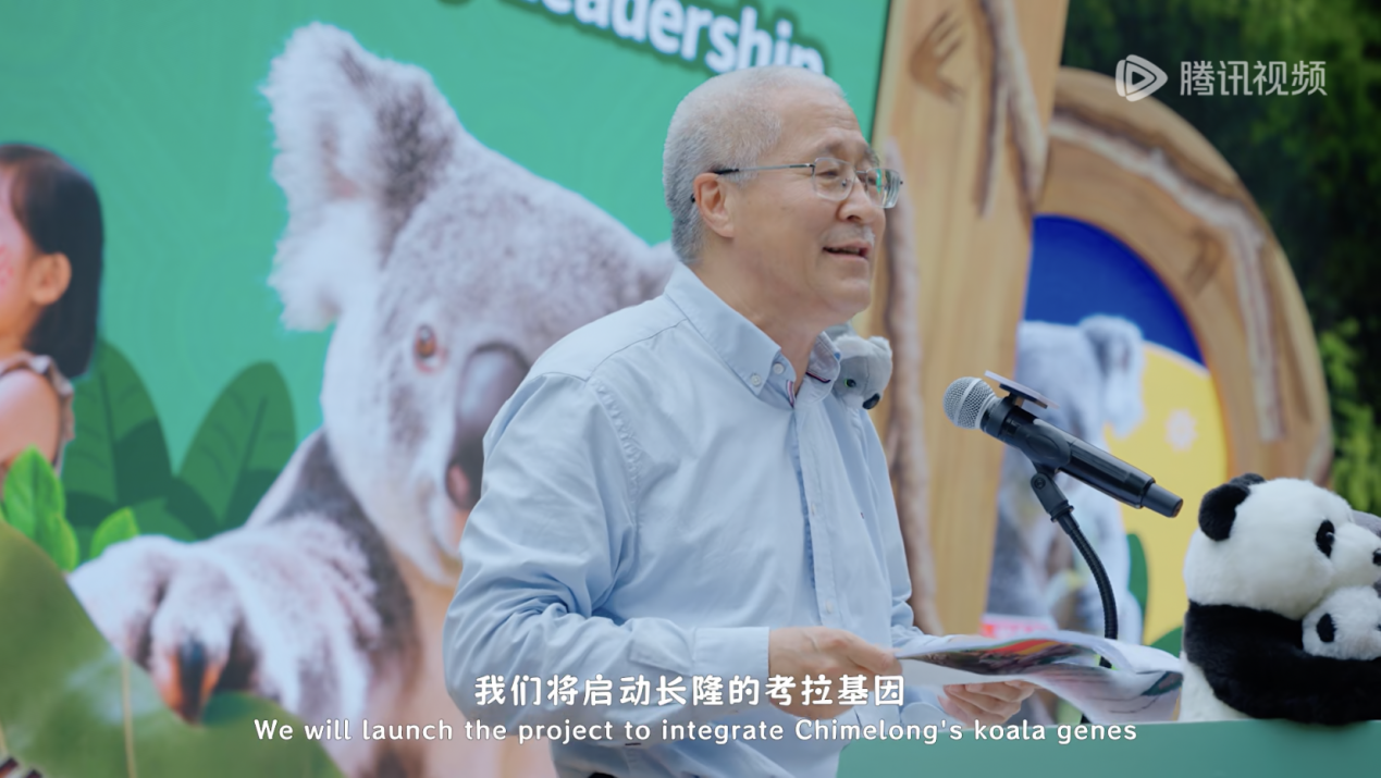 《我是考拉,欢迎光临我们的家》温情收官:一个八代考拉大家族,二十年的爱与守候
