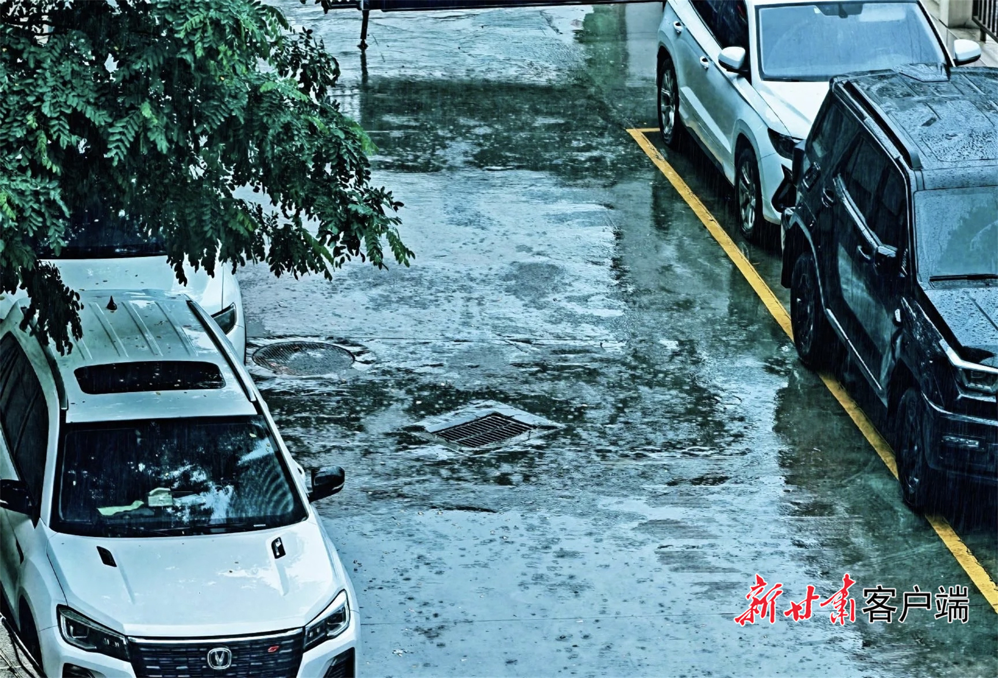 兰州市昨夜降水现场　新甘肃&middot;甘肃日报记者　王思璇　摄