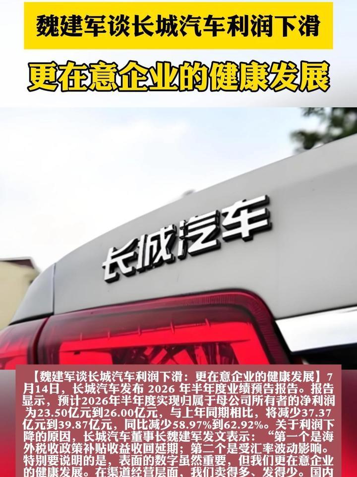 魏建军谈长城汽车利润下滑：更在意企业的健康发展
