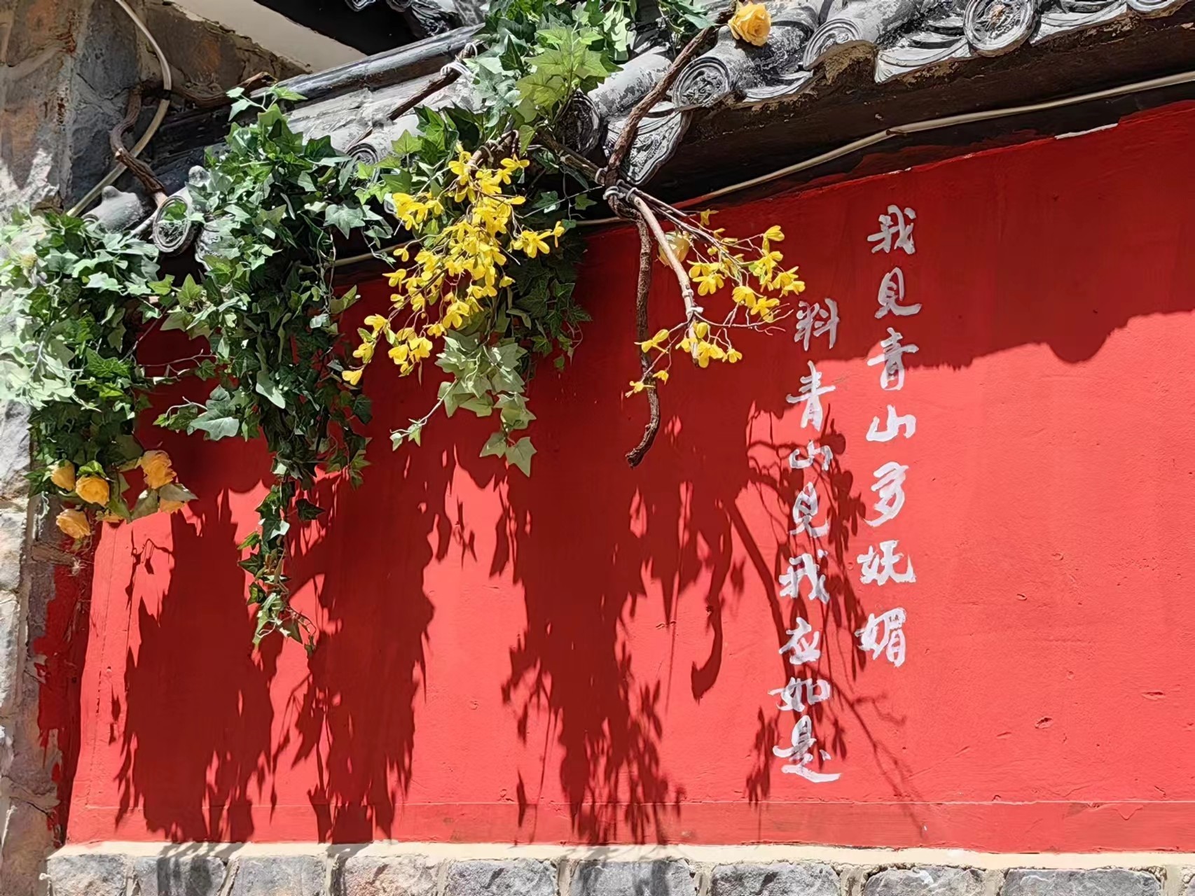 瓣膜修换难抉择?德达瓣膜中心MDT一站式研判 瓣膜修换难抉择?德达瓣膜中心MDT一站式研判