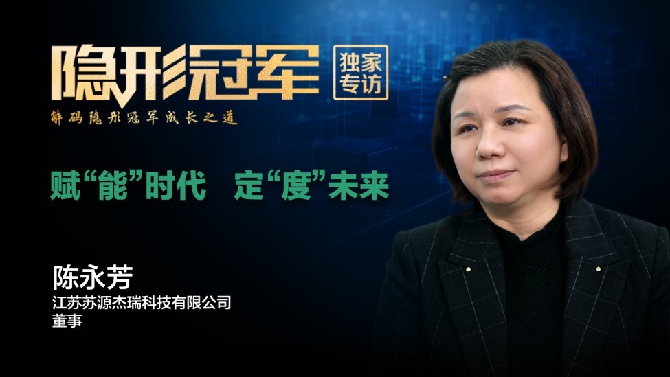 苏源杰瑞：拿下全球最难的电表认证，这家苏北电表厂凭什么？(上）