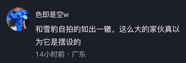 四川女游客和牦牛合影，被顶到半空摔下，视频流出，目击者曝更多
