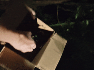 7月14日.gif