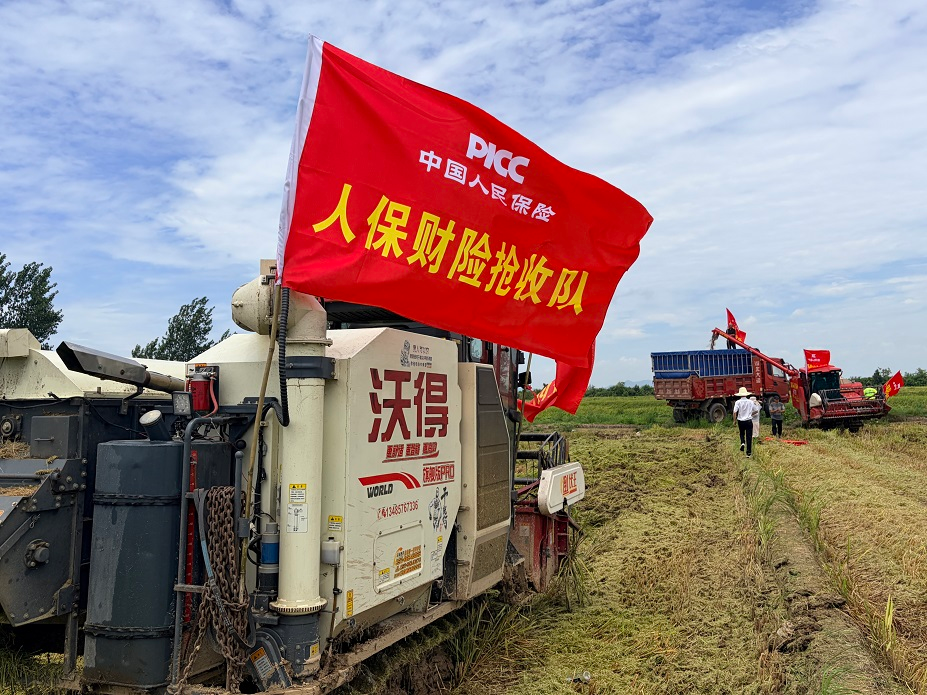 人保财险：闻“风”而动显担当 理赔为民守初心
