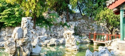 孔府后花园夏日图鉴