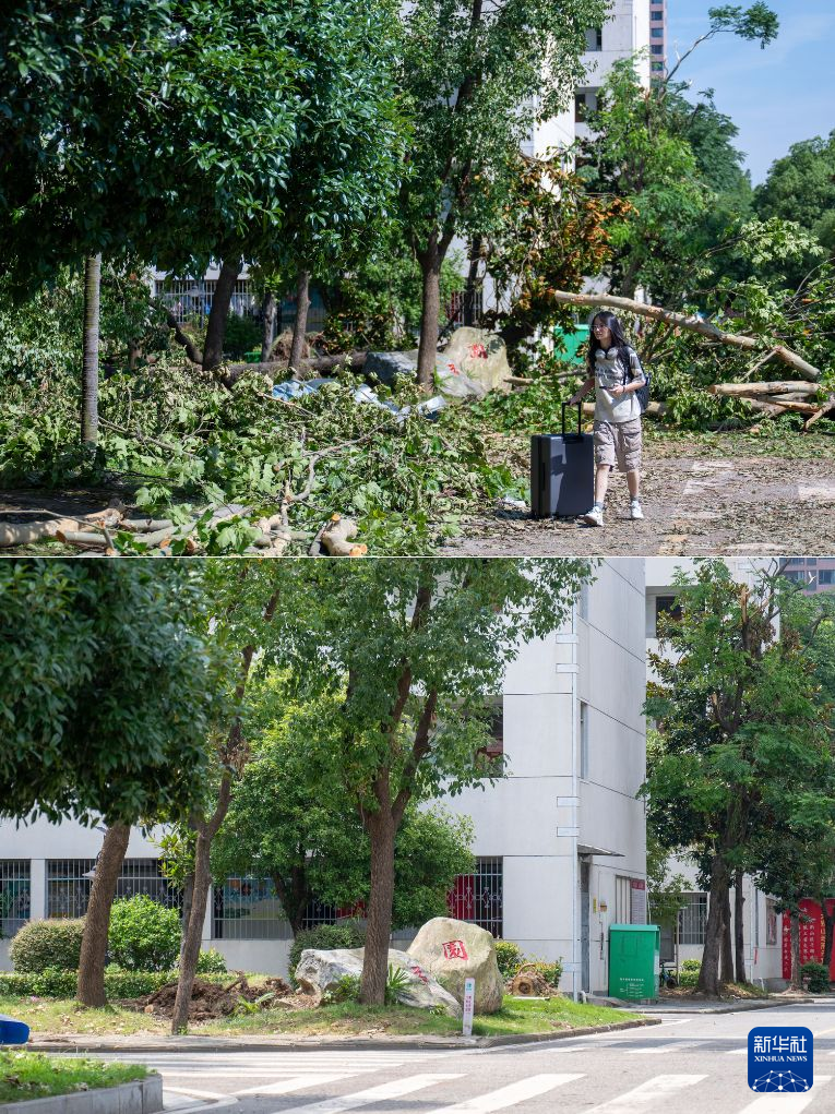 湖北黄冈：龙卷风灾后清理修复持续推进(图1)