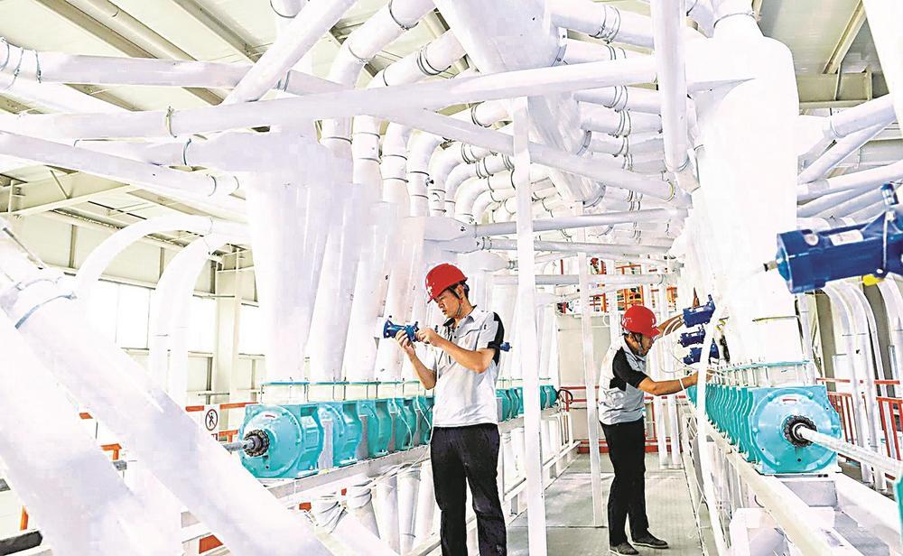 甘肃鑫粮年产10万吨玉米制糁制粉加工生产线建成投产 王将 田睿峰 摄