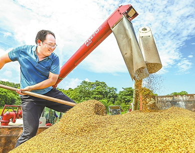 大余县：早稻收割正当时