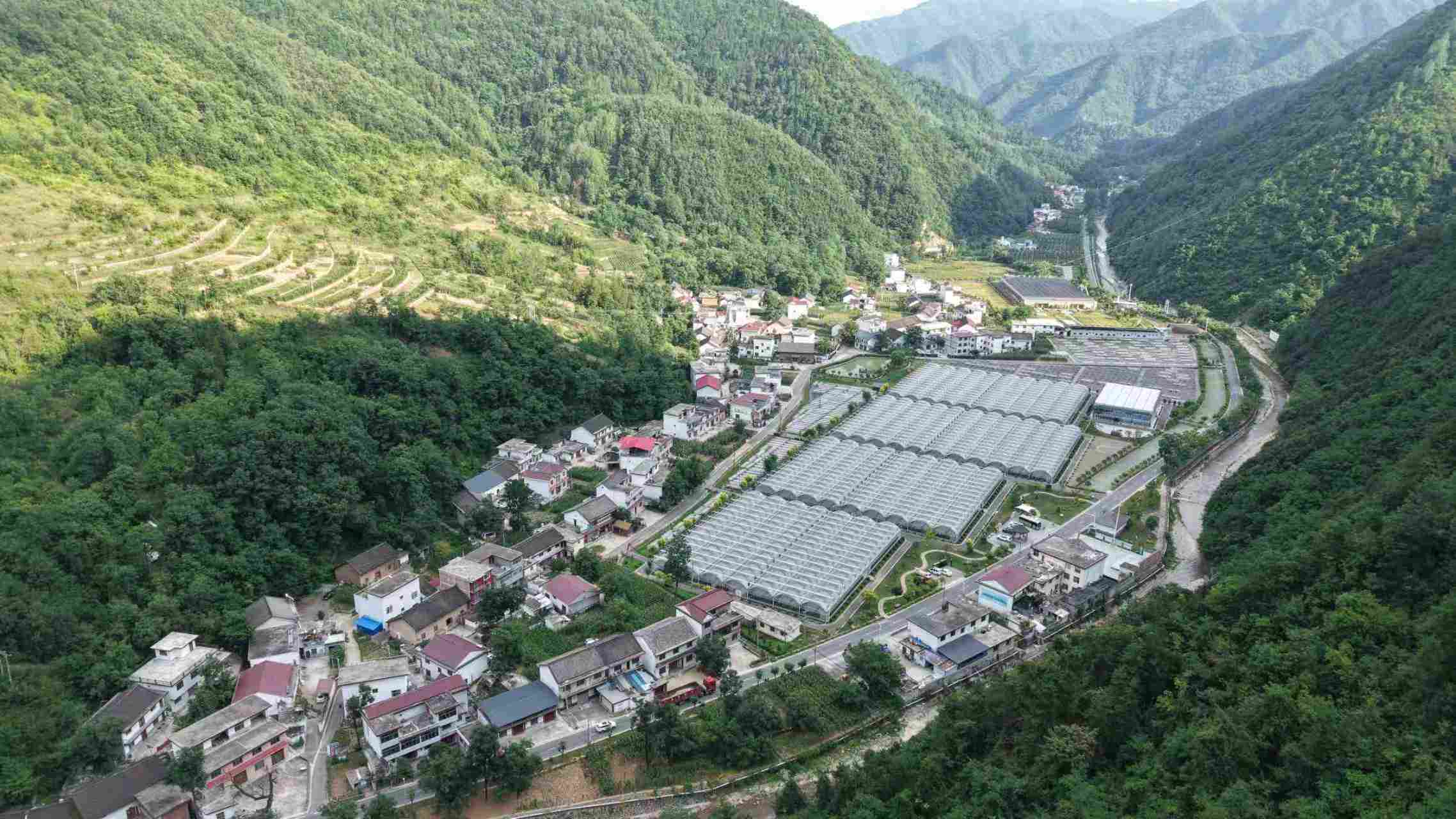 走出杨凌看示范|杨凌科技润秦岭 循环种养铺就金米共富路