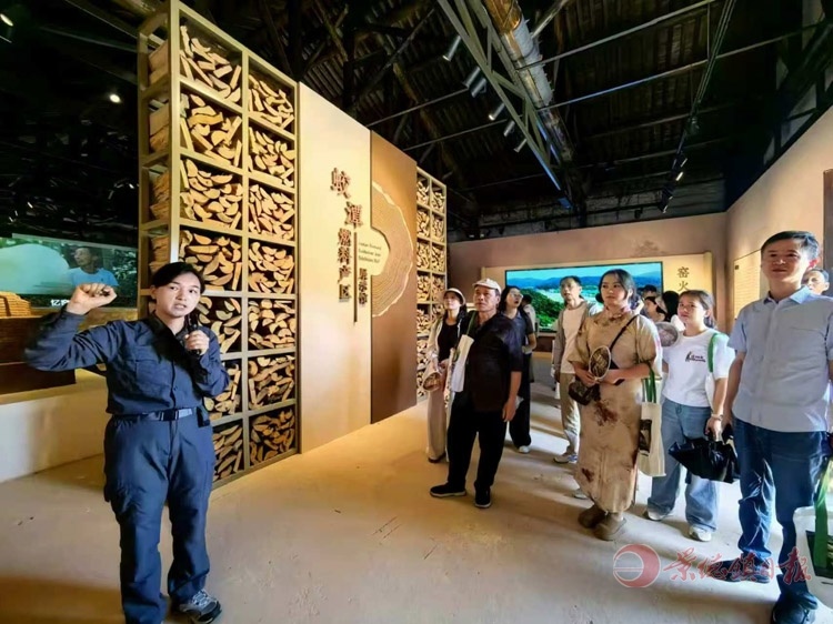 浮梁县蛟潭镇礼芳村窑柴燃料展示馆正举行参观活动。（全媒体记者 付裕 摄）