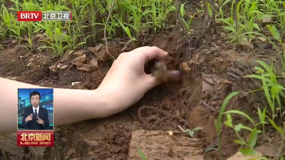 闻汛而动 筑牢防线｜雨停不等于风险解除 京郊山区严防滞后性地质灾害