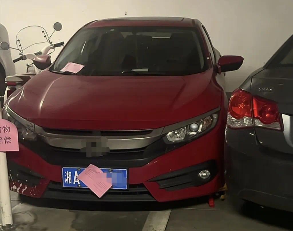 彭某某的红色轿车停在闵某的车位上。视频截图
