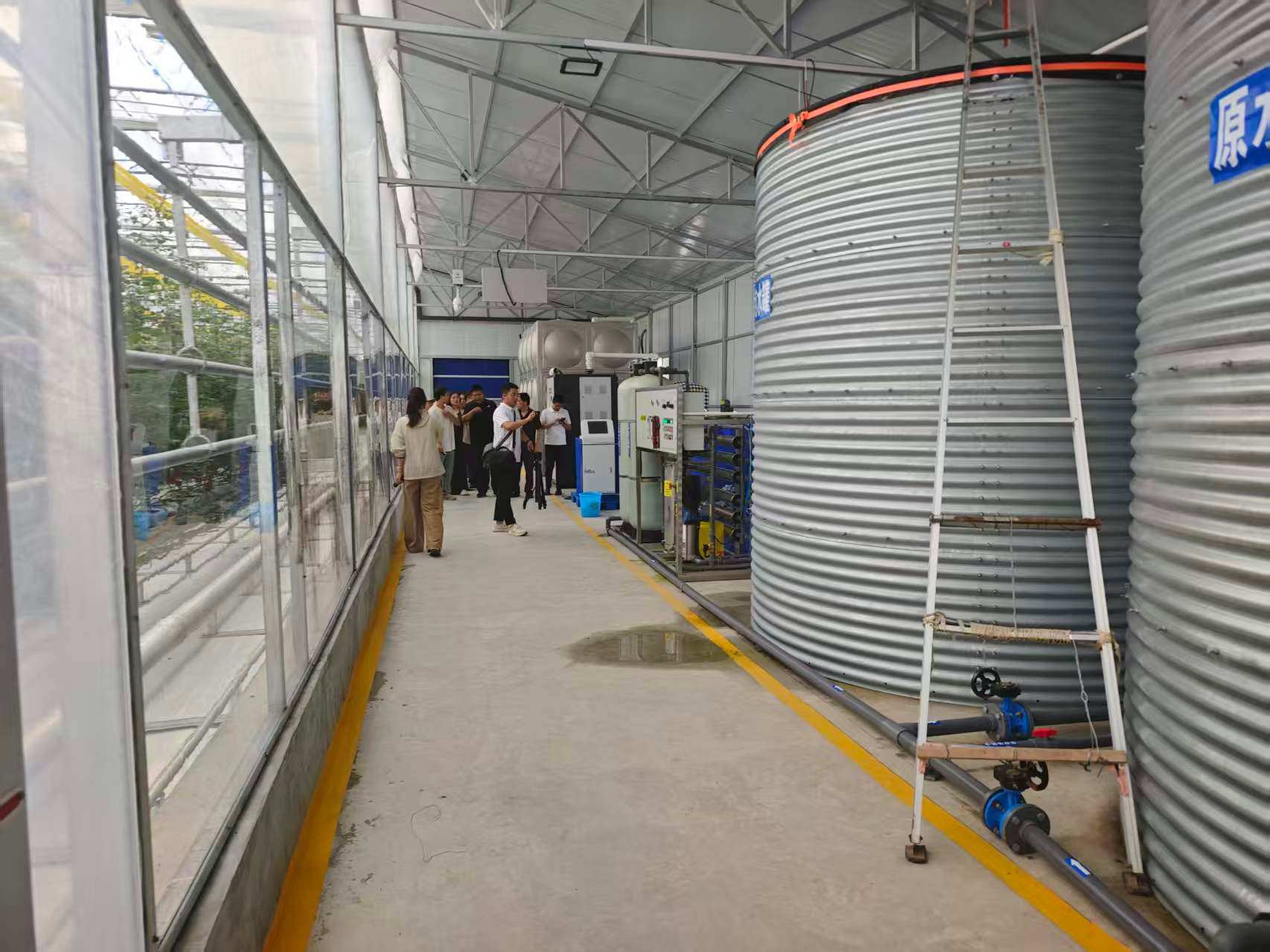 走出杨凌看示范|杨凌科技润秦岭 循环种养铺就金米共富路