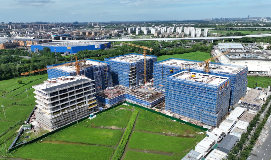 全面封顶!杭州临平新建“农业硅谷”明年投用(图1)