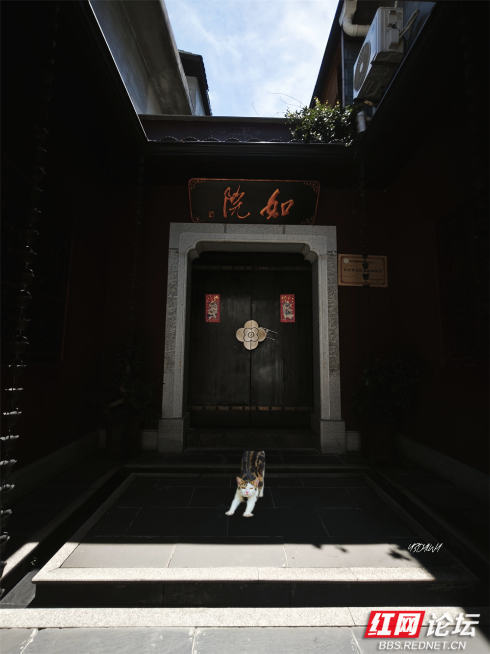 028.png